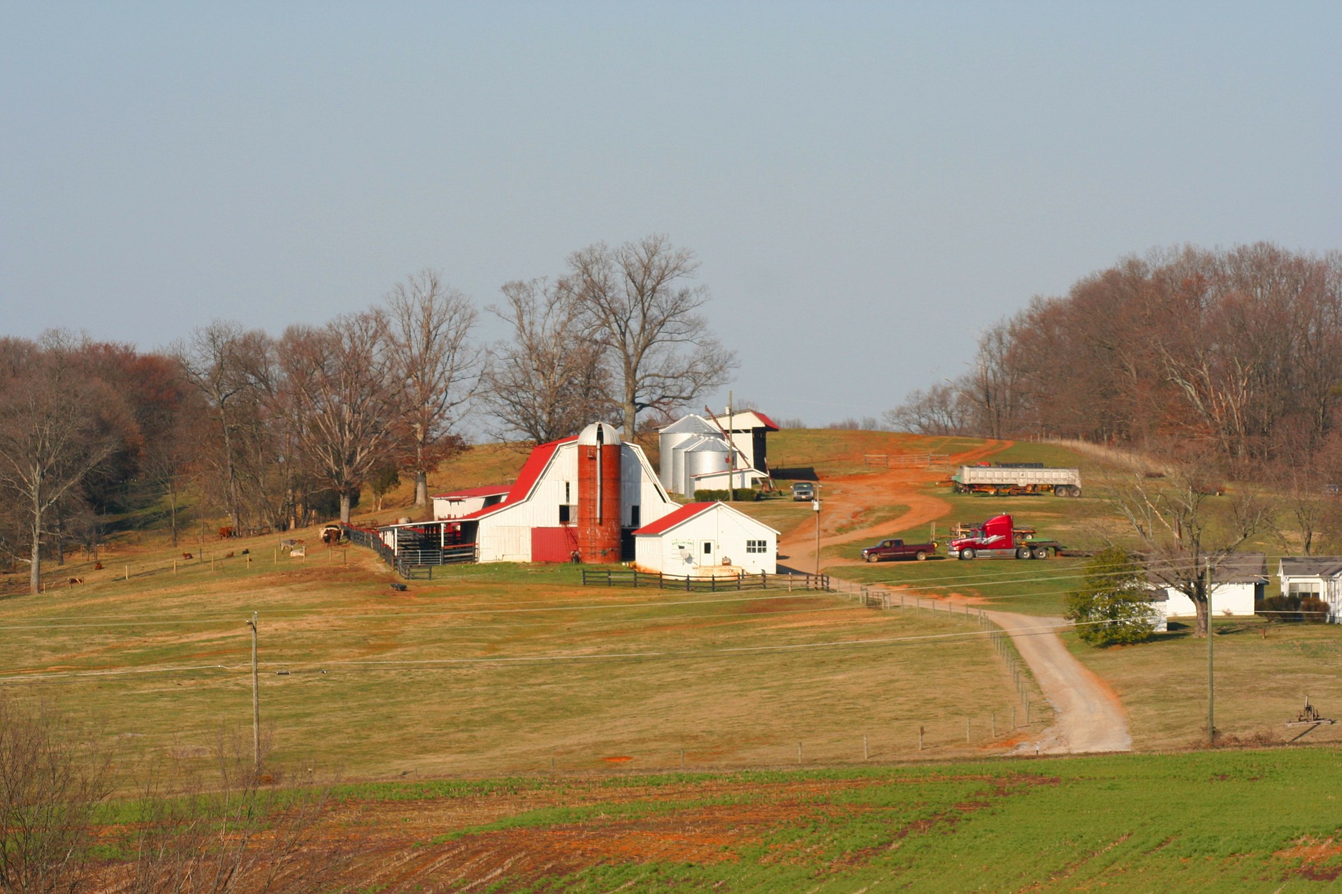 Hickman County | Hickman County
